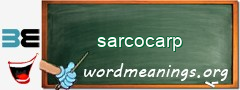 WordMeaning blackboard for sarcocarp